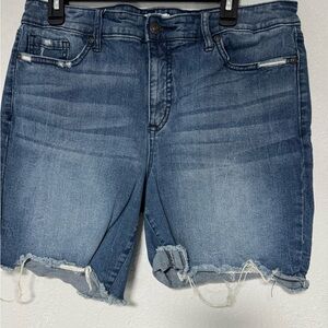 Distressed Denim ripped Shorts